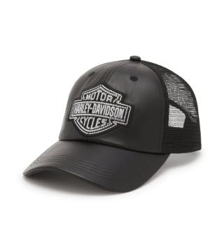 Harley-Davidson pet