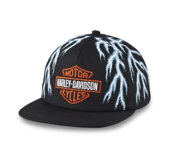 Harley-Davidson pet